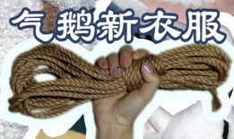 绳艺动漫,探索束缚与自由的视觉艺术之旅