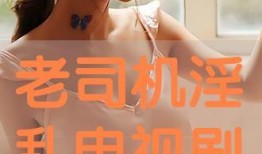 乱淫视频,道德沦丧的警示录